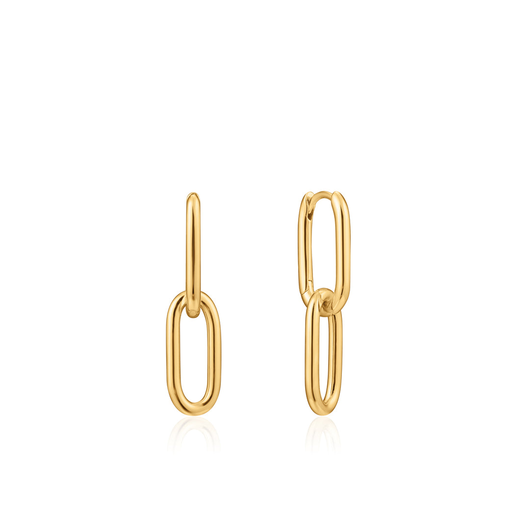 Ania Haie Earrings Cable Link